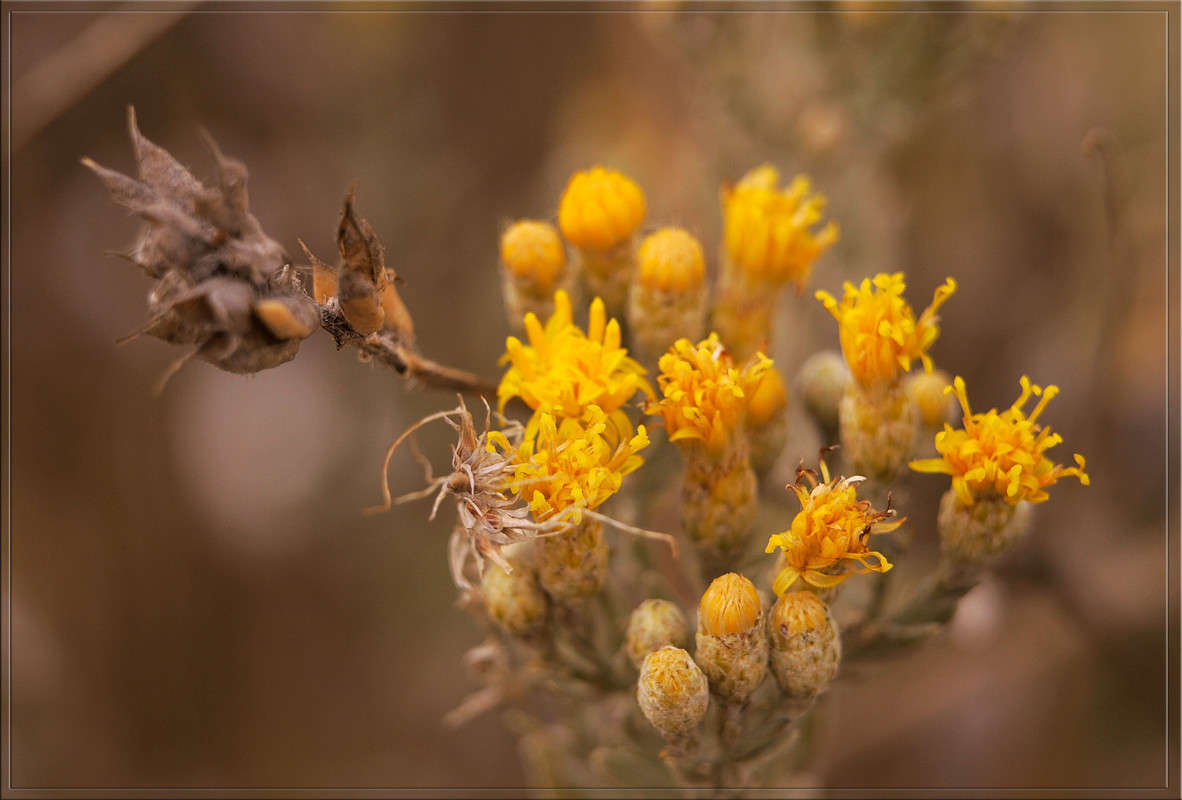 �������� ����� ������  �� PhotoGeek.ru #������ ��� �������