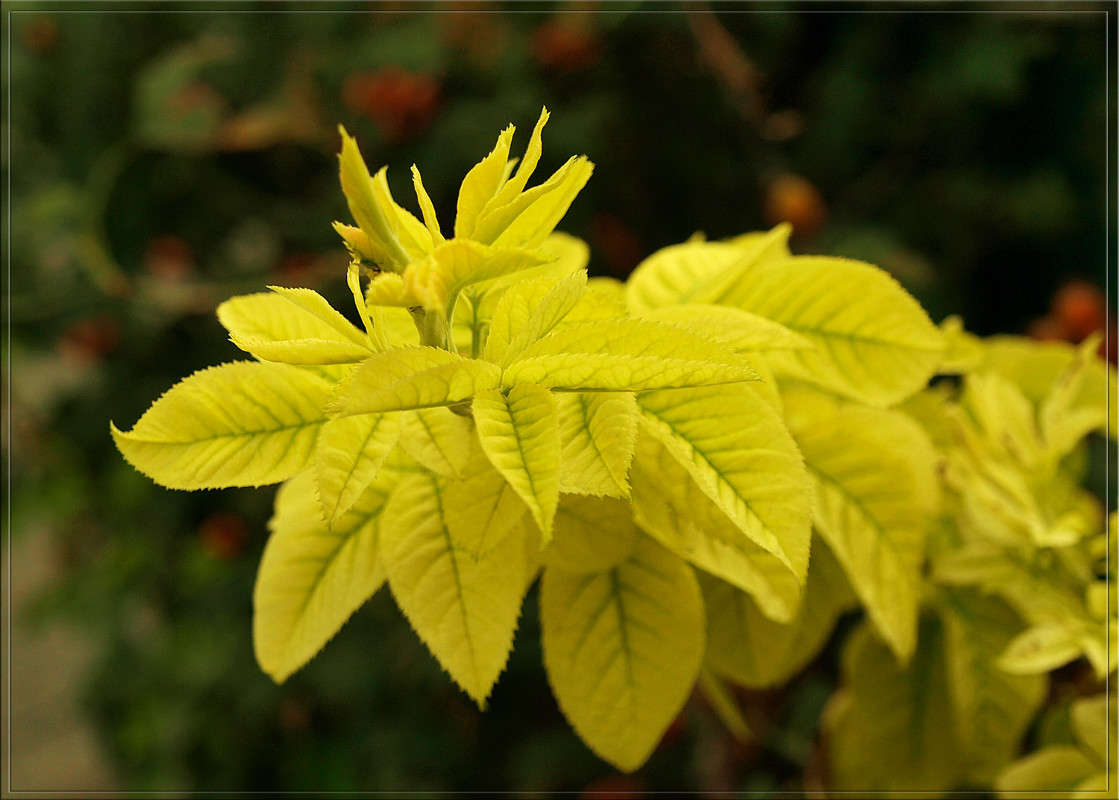 �������� ������ ����� ������  �� PhotoGeek.ru #������ ��� �������