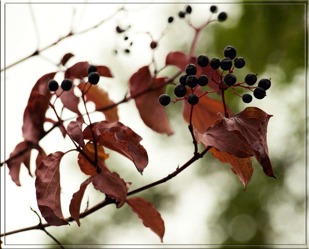 ��� ������������ �����.jpg ����� ������  �� PhotoGeek.ru #������ ��� �������