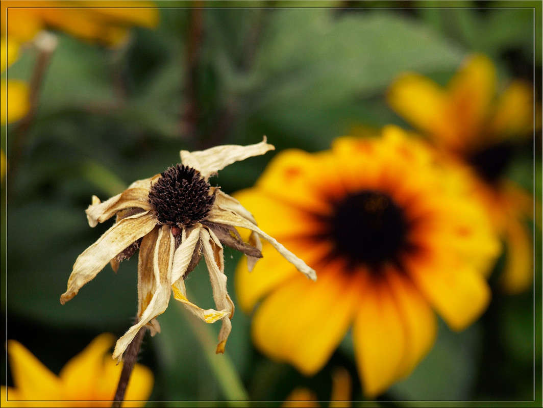 �������� � �������� ����� ������  �� PhotoGeek.ru #������ ��� �������