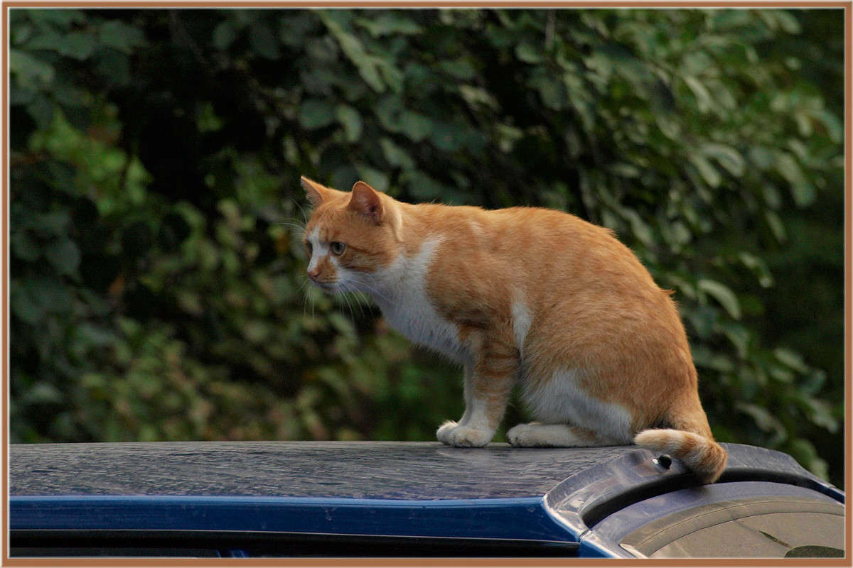 ������������ ����� ������  �� PhotoGeek.ru #�������� ����������