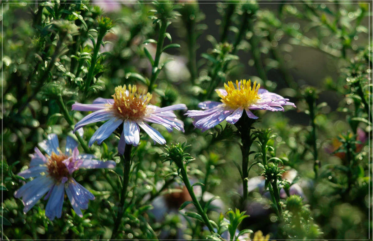 �������� ������ ����� ������  �� PhotoGeek.ru #������ ��� �������