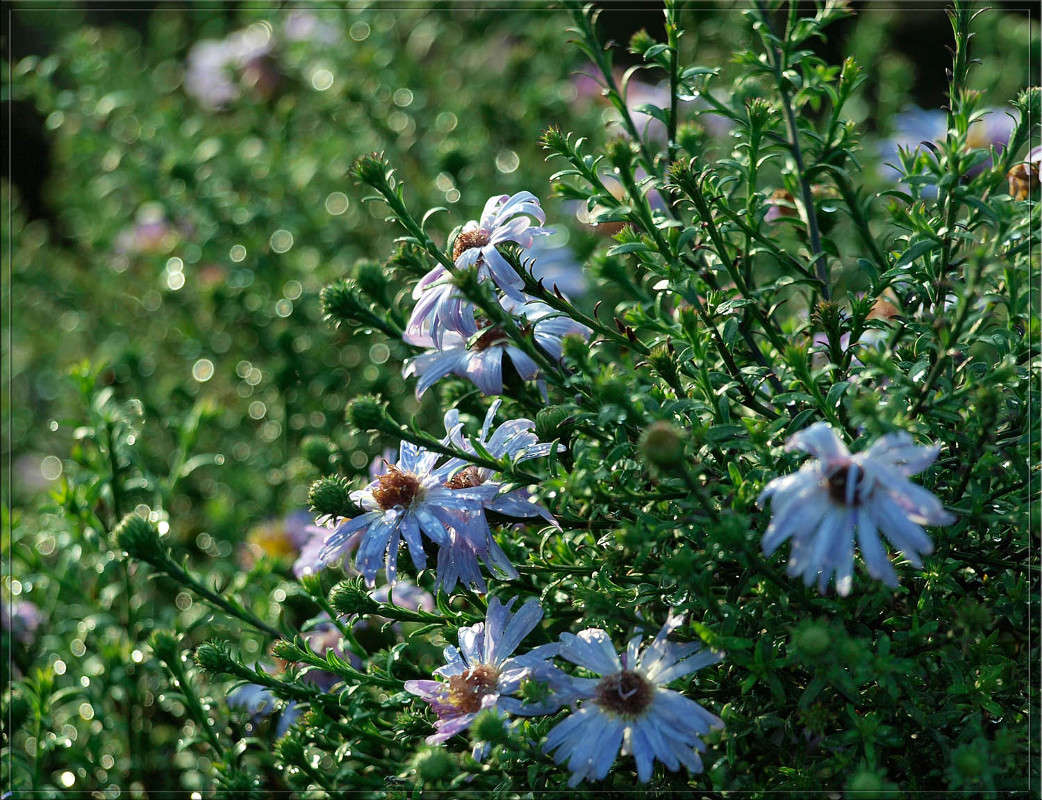 �������� ������ 2 ����� ������  �� PhotoGeek.ru #������ ��� �������