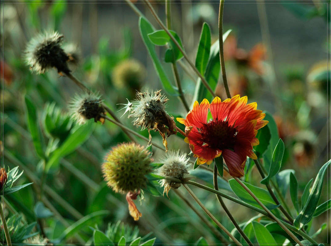 �������� ������ 3 ����� ������  �� PhotoGeek.ru #������ ��� �������