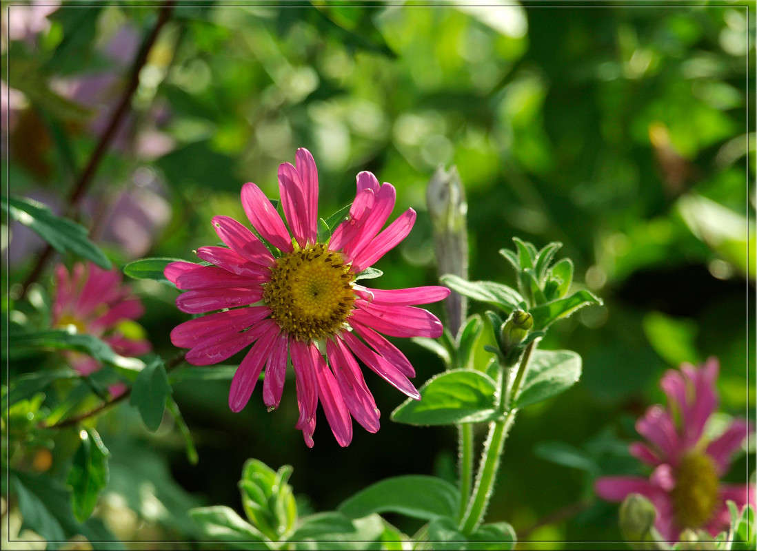 �������� ������ 4 ����� ������  �� PhotoGeek.ru #������ ��� �������