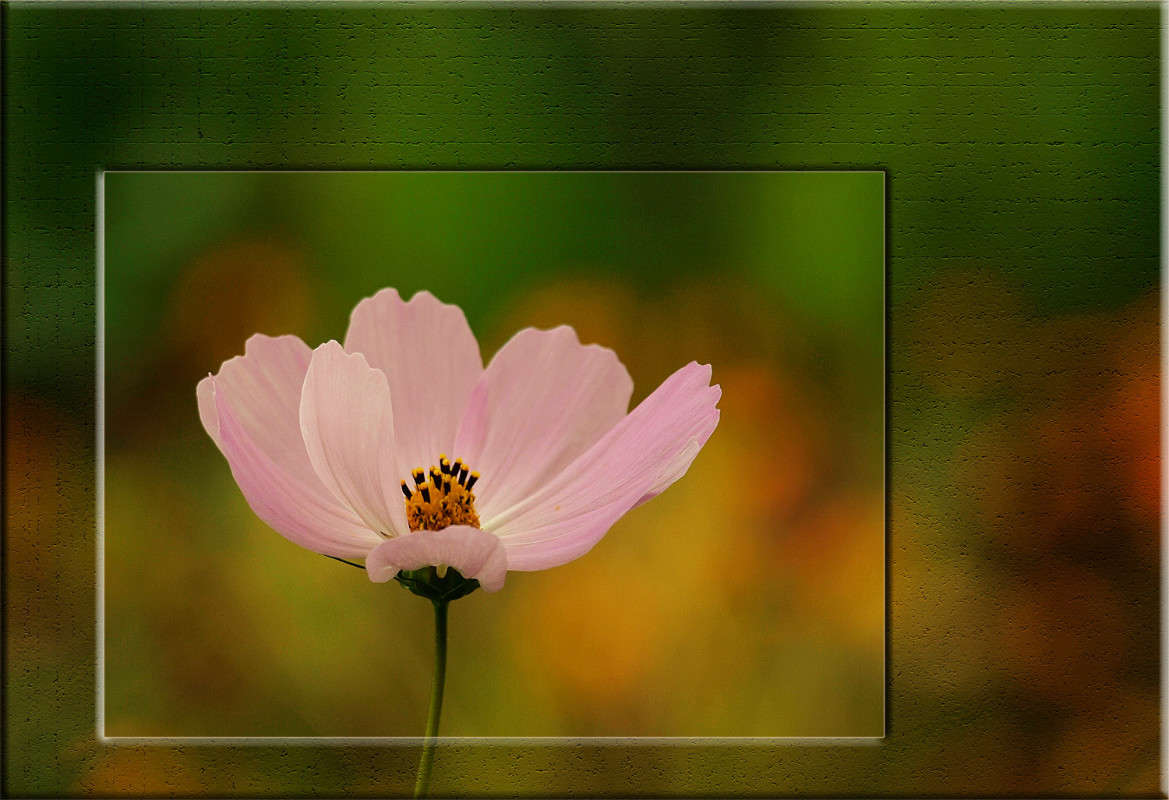 ������ �������� ����� ������  �� PhotoGeek.ru #������ ��� �������