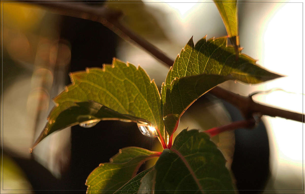 �������� 02 ����� ������  �� PhotoGeek.ru #�����