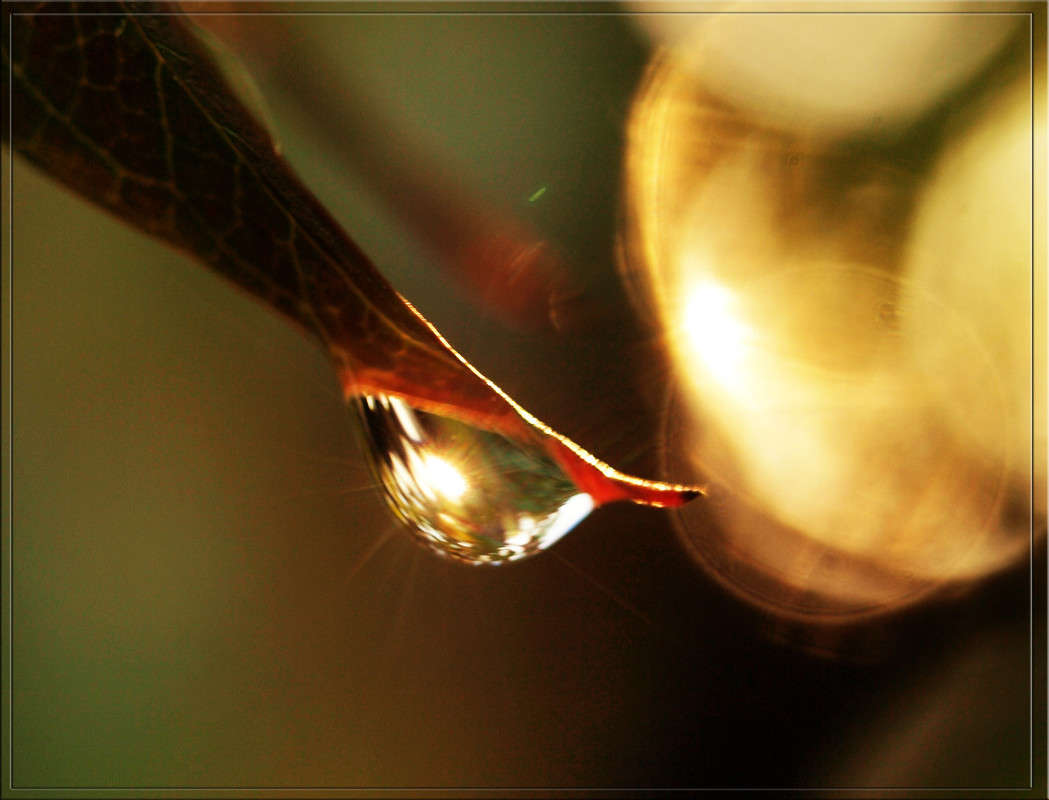 �������� 04 ����� ������  �� PhotoGeek.ru #�����