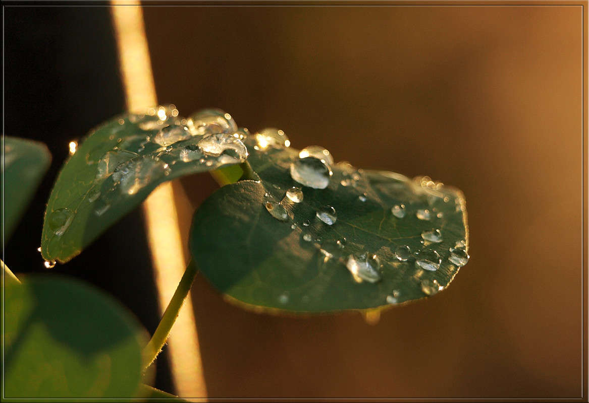 �������� 05 ����� ������  �� PhotoGeek.ru #�����