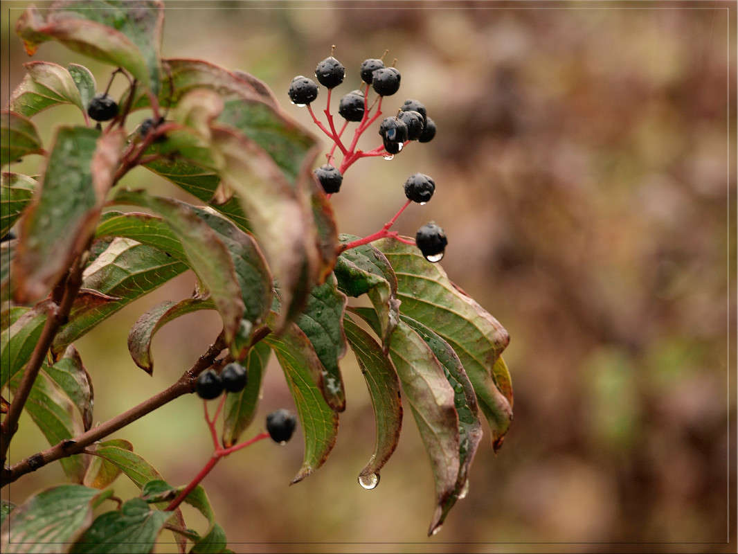 �������� 05 ����� ������  �� PhotoGeek.ru #������ ��� �������