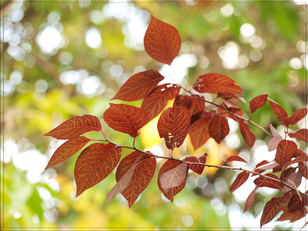 ����� ����� �� �� ����� ������  �� PhotoGeek.ru #������ ��� �������