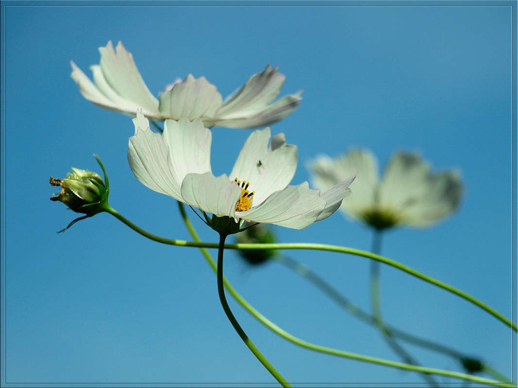 ����� ���� ������� ����� ������  �� PhotoGeek.ru #������ ��� �������