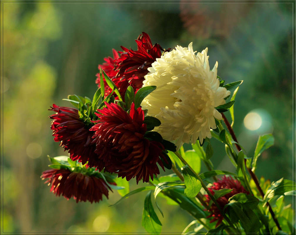 ����� �� ���� ��� ����� ����� ������  �� PhotoGeek.ru #�������� ����������