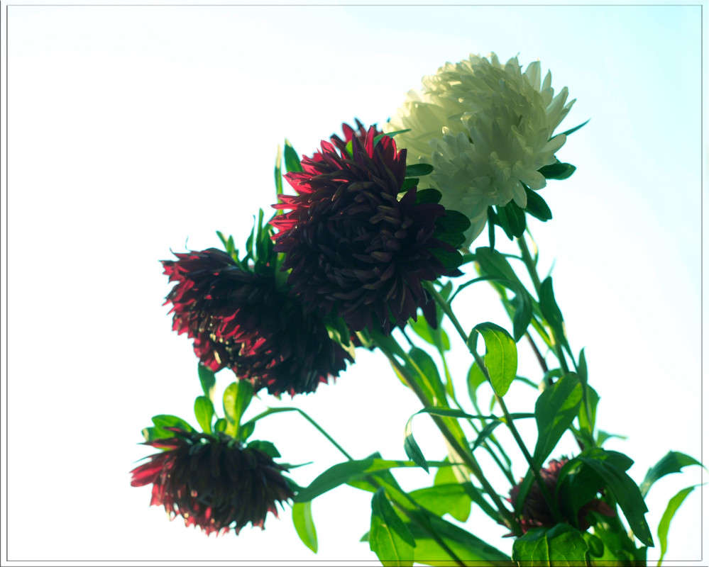 ����� �� ���� ��� ����� ����� ������  �� PhotoGeek.ru #�������� ����������