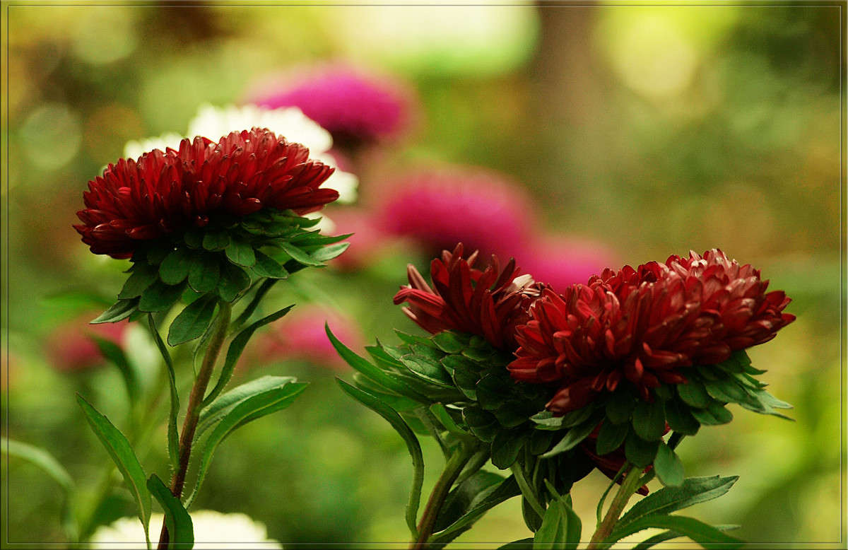 ����� ������� ����� ������  �� PhotoGeek.ru #������ ��� �������