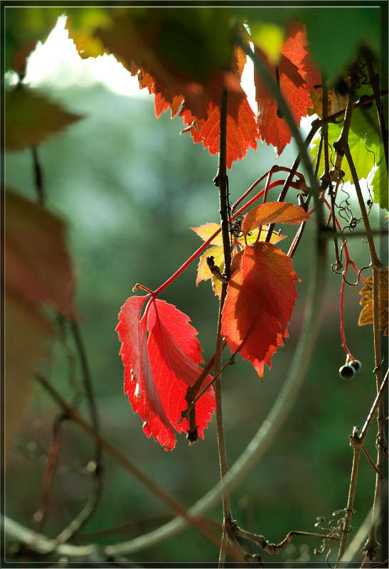 � ����� ������ ����� ������  �� PhotoGeek.ru #������ ��� �������