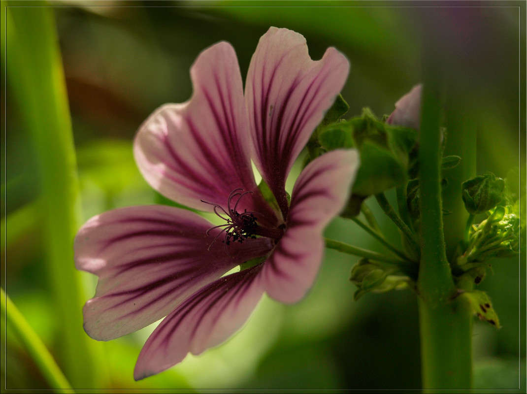 ������ ����� ����� ������  �� PhotoGeek.ru #������ ��� �������