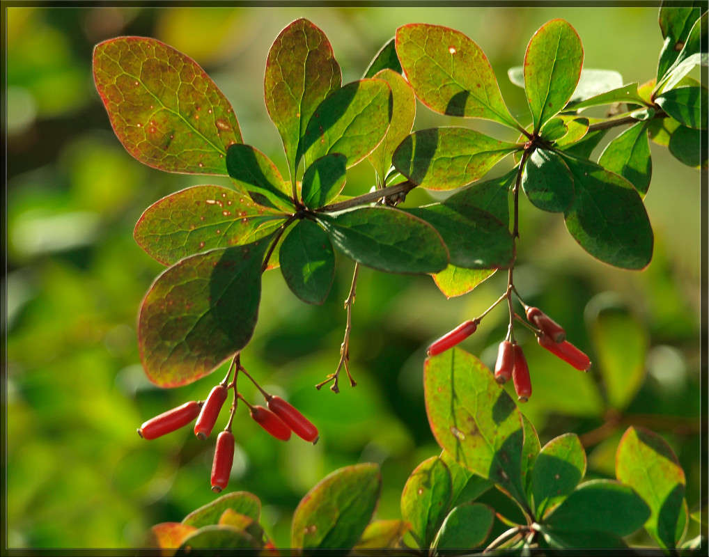 ��� ������� ����� ������  �� PhotoGeek.ru #������ ��� �������