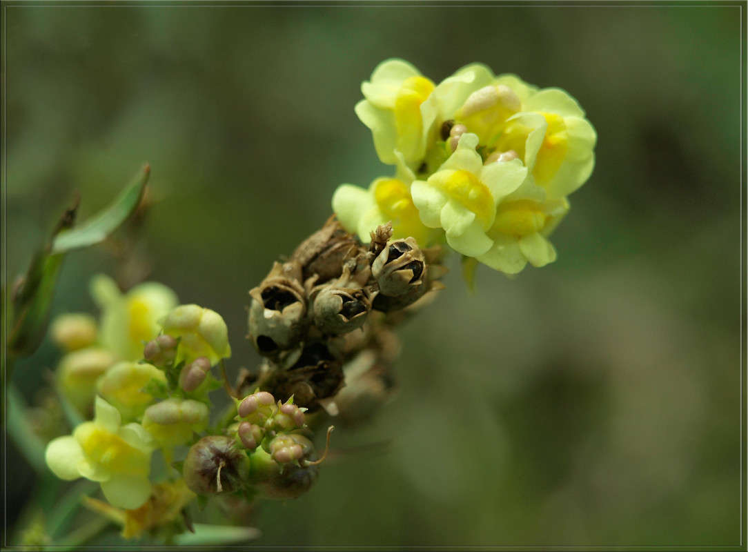 ������ � ����� ����� ������  �� PhotoGeek.ru #������ ��� �������