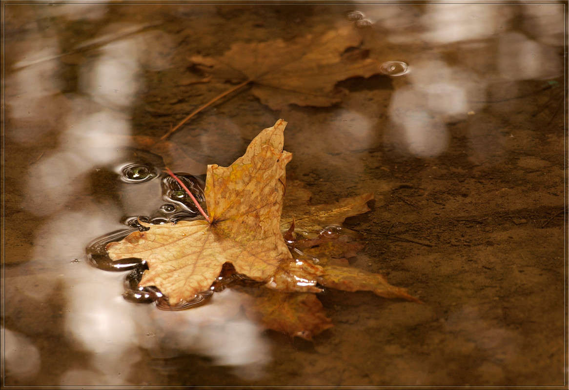 ��� � ���� ����� ������  �� PhotoGeek.ru #�������� ����������