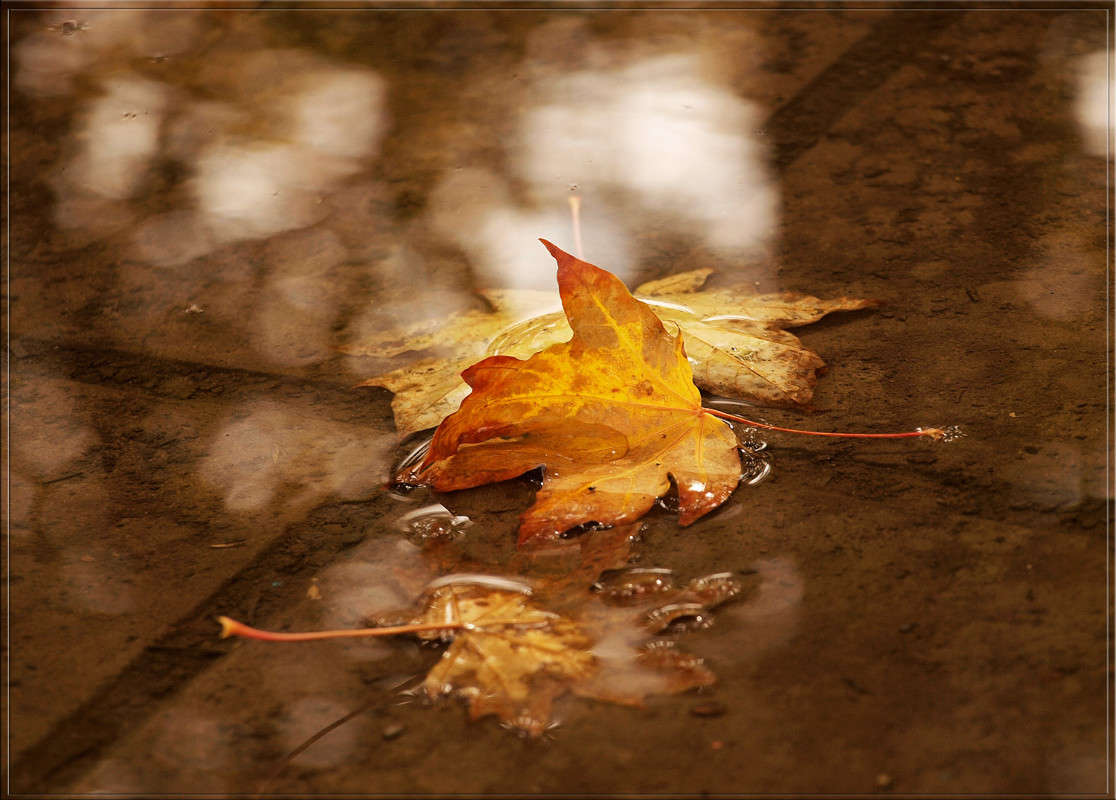 ������������ ������� ����� ������  �� PhotoGeek.ru #�������� ����������