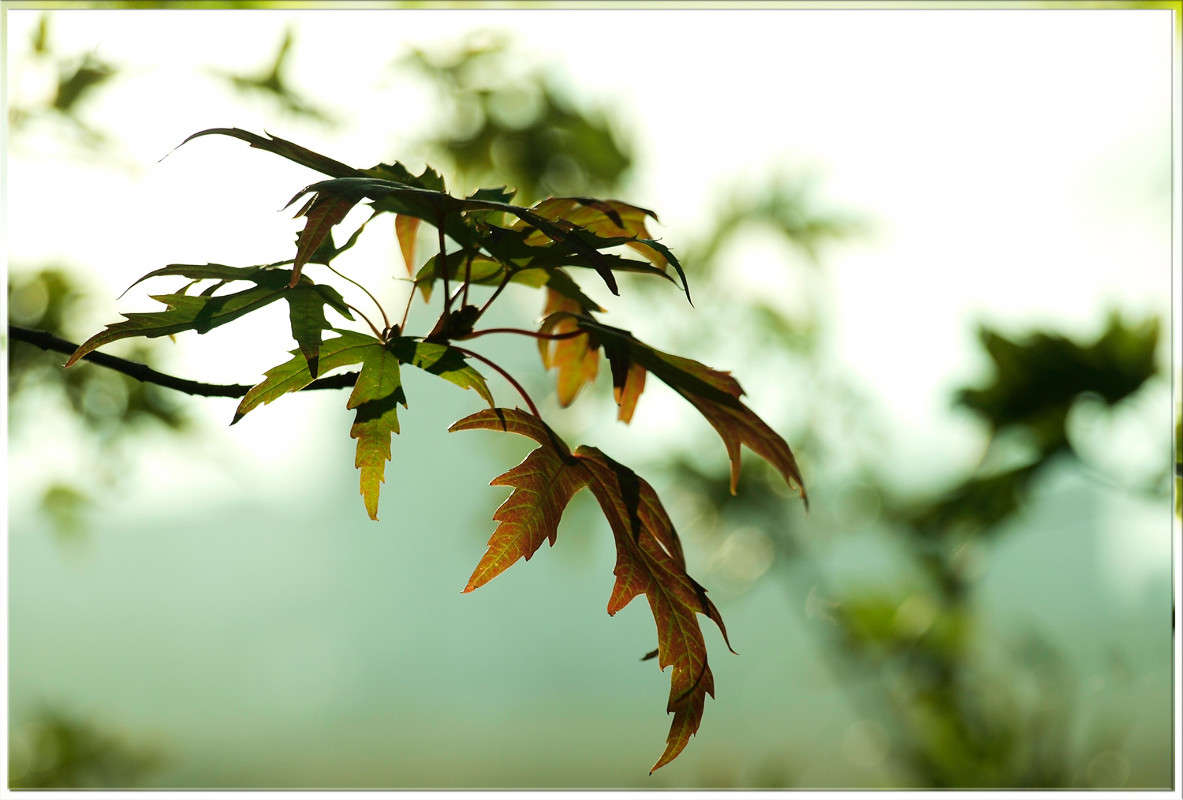 ���� ������-������� ����� ������  �� PhotoGeek.ru #������ ��� �������