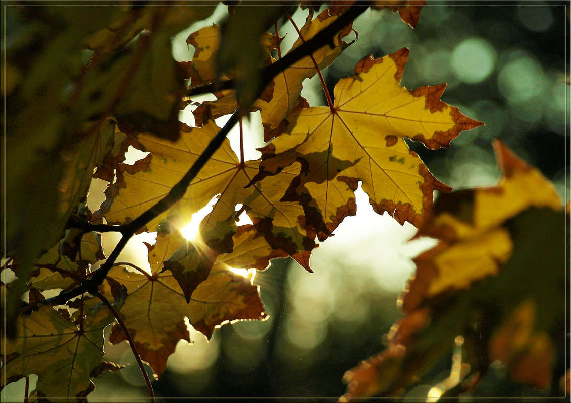 � ���������� ��������� ����� ������  �� PhotoGeek.ru #������ ��� �������