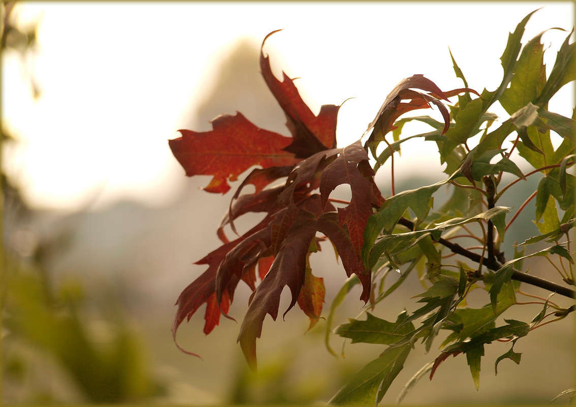 � ������� � ������� ����� ������  �� PhotoGeek.ru #������ ��� �������