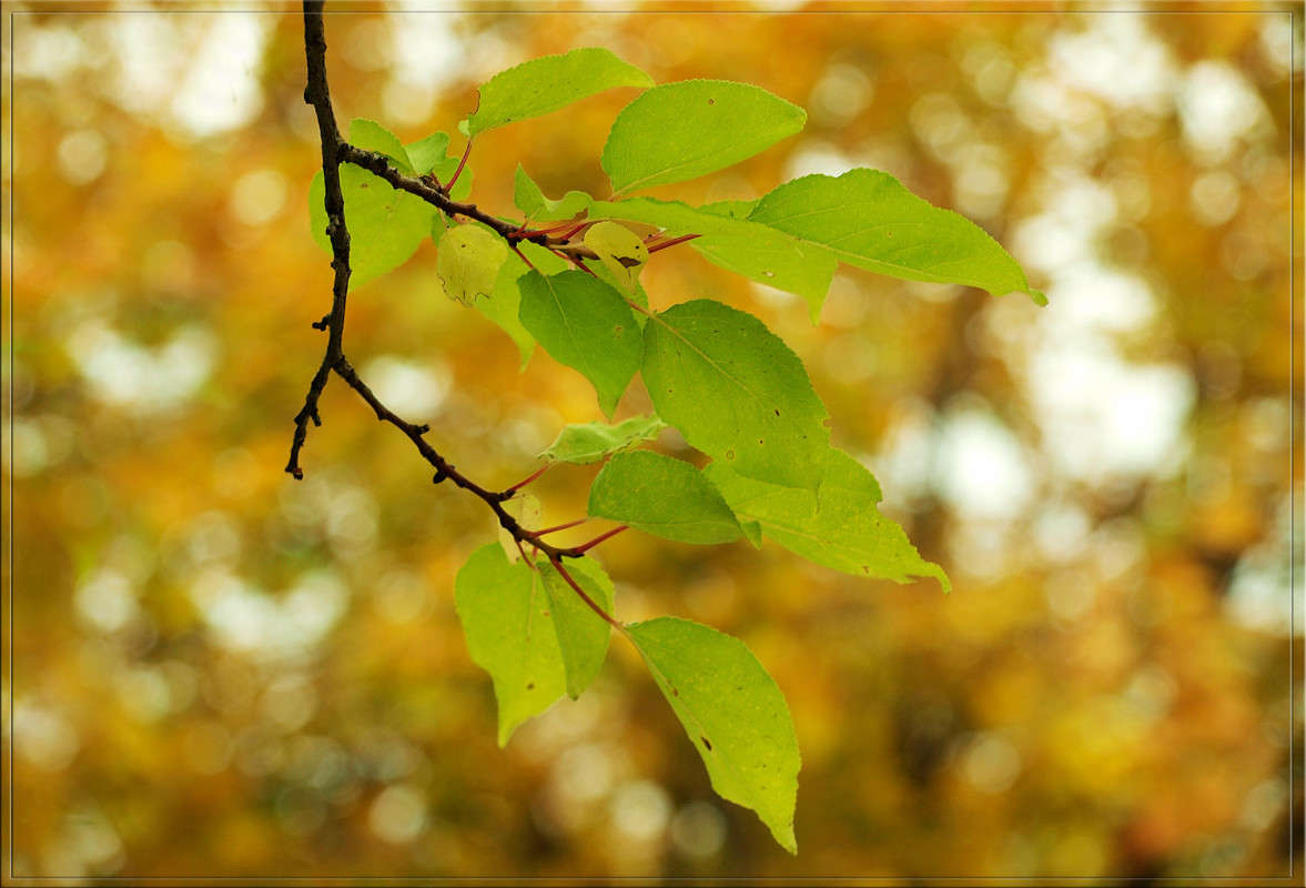 ���� ������� ����� ������  �� PhotoGeek.ru #������ ��� �������