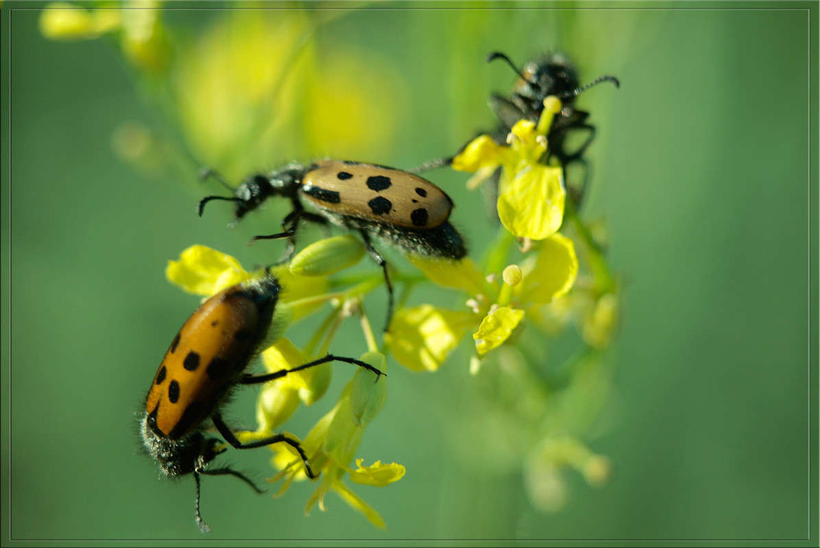 ��������� ����� ������  �� PhotoGeek.ru #�����