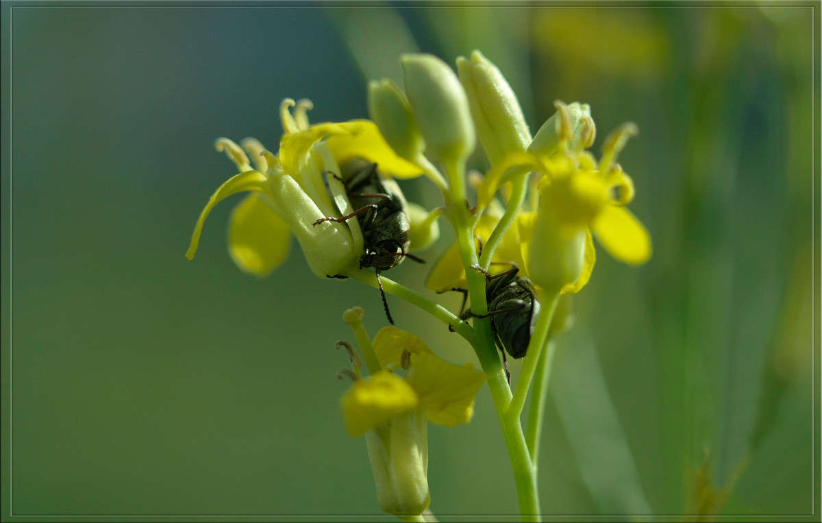 � ������ ������������ ����� ������  �� PhotoGeek.ru #�����