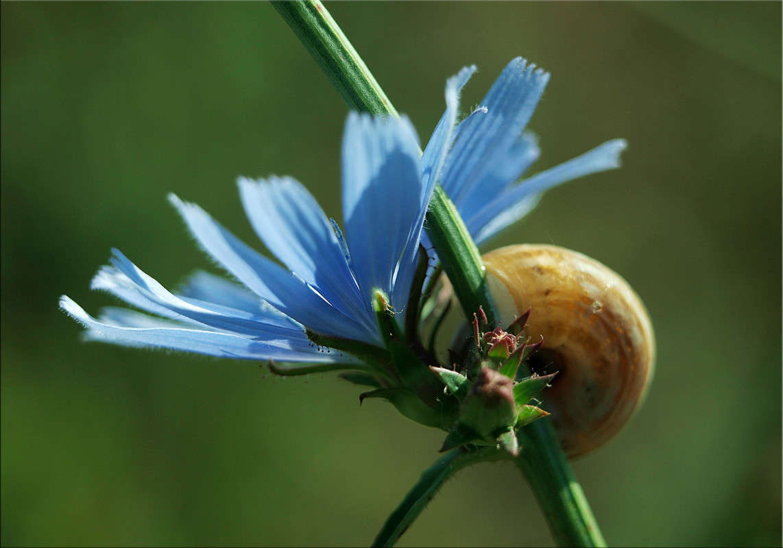 ������ � ������� ����� ������  �� PhotoGeek.ru #�����