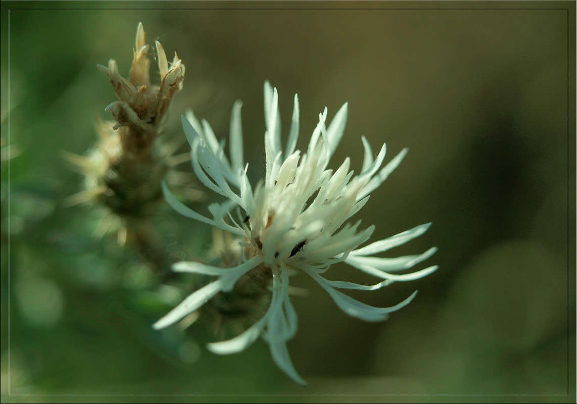 ������� ����� ������  �� PhotoGeek.ru #������ ��� �������