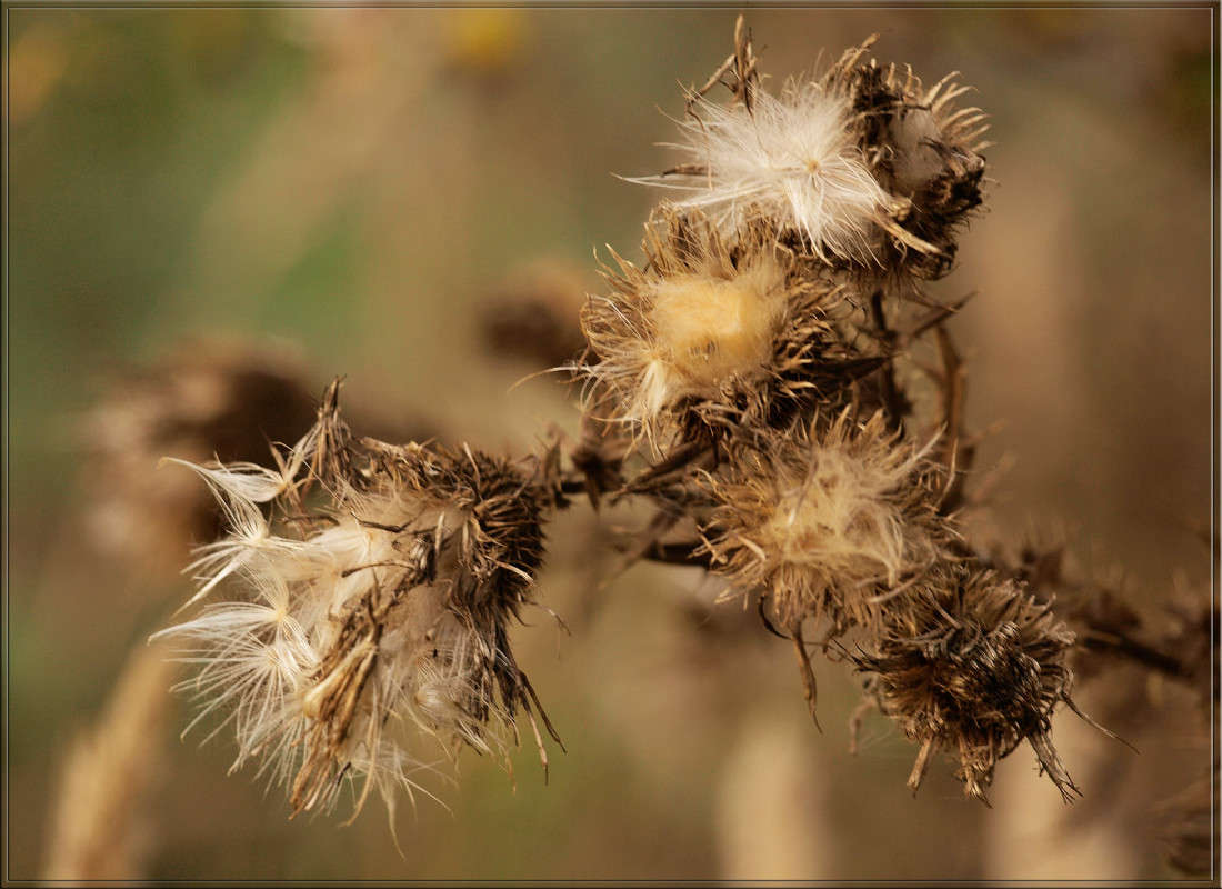 ������ ����� ������  �� PhotoGeek.ru #������ ��� �������