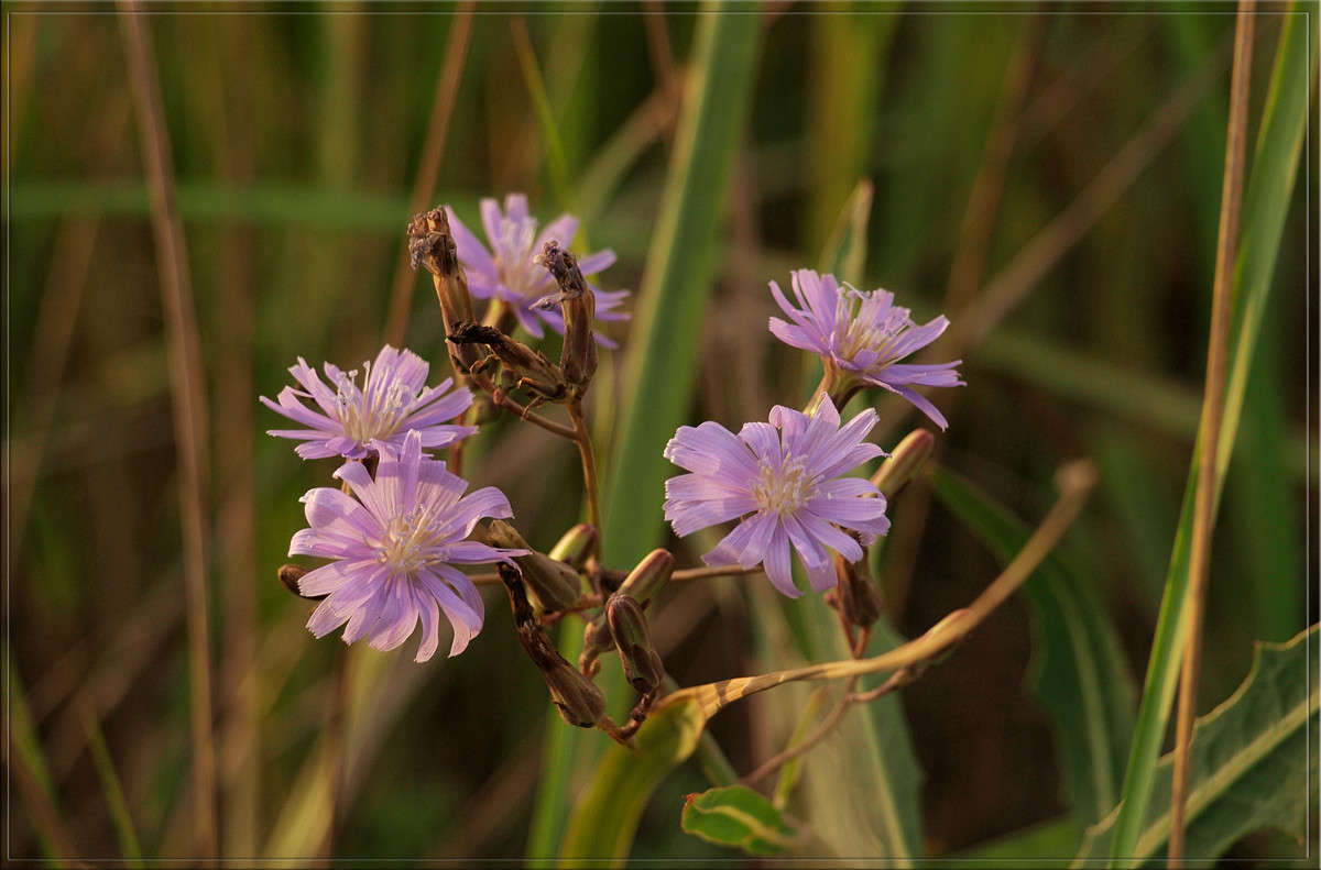 ... ����� ������  �� PhotoGeek.ru #������ ��� �������
