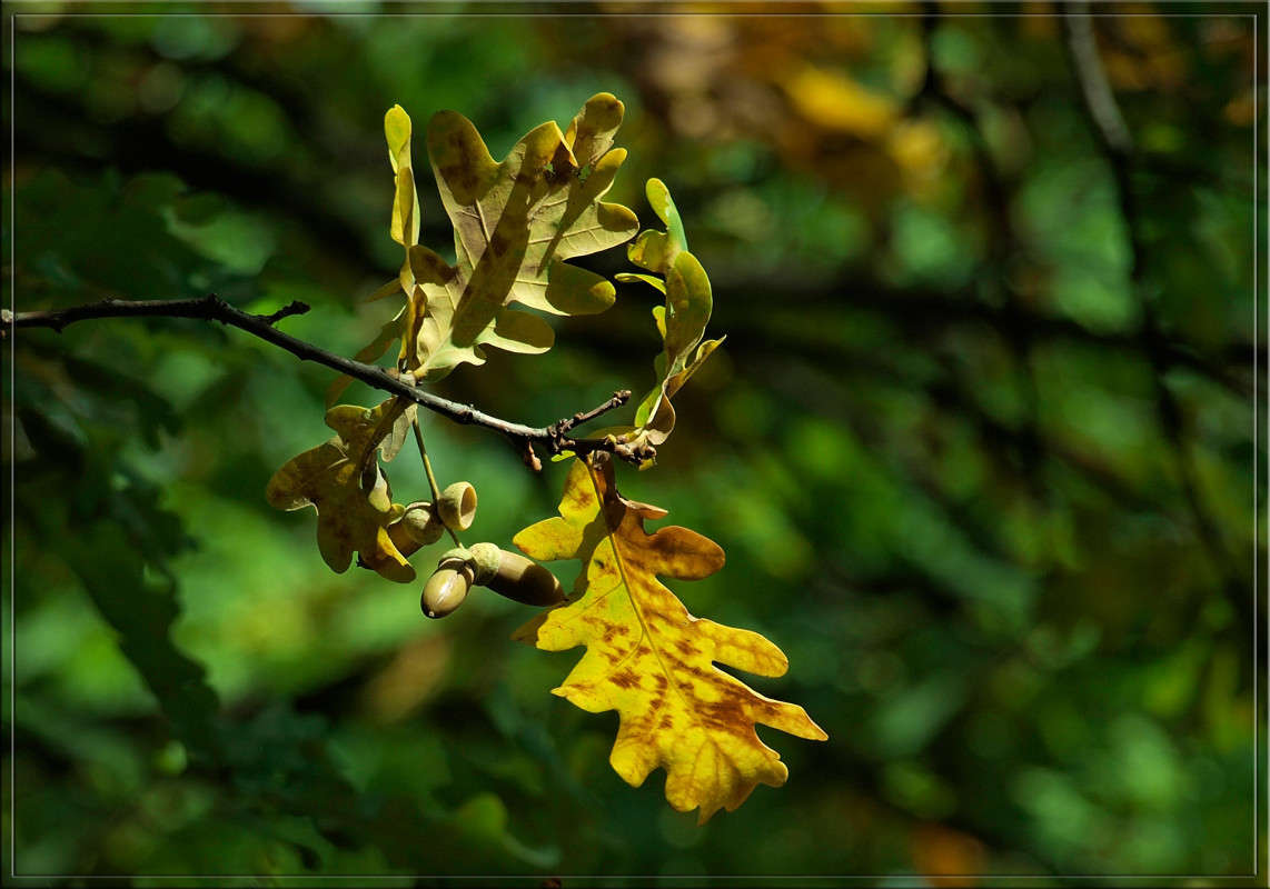 ������ ��������� �� ����� ����� ������  �� PhotoGeek.ru #������ ��� �������