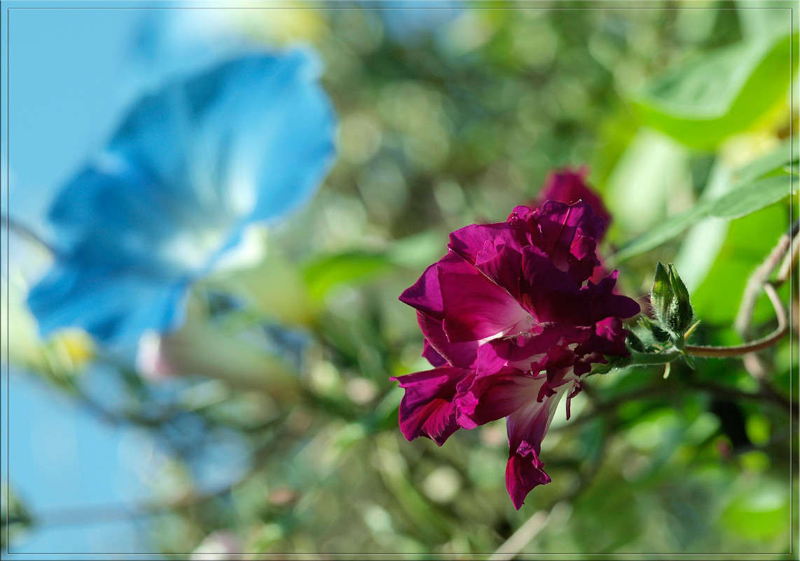 �� ������� ����� ������  �� PhotoGeek.ru #������ ��� �������