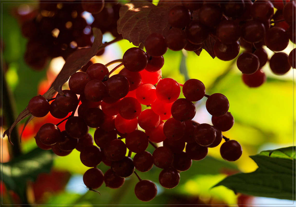 ������ ������� ����� ������  �� PhotoGeek.ru #������ ��� �������