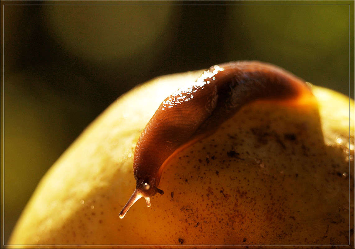 �� ����� ����� ������  �� PhotoGeek.ru #�����