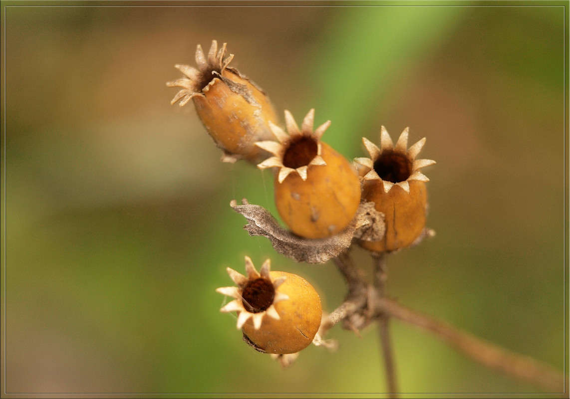 ������� ����� ������  �� PhotoGeek.ru #�����