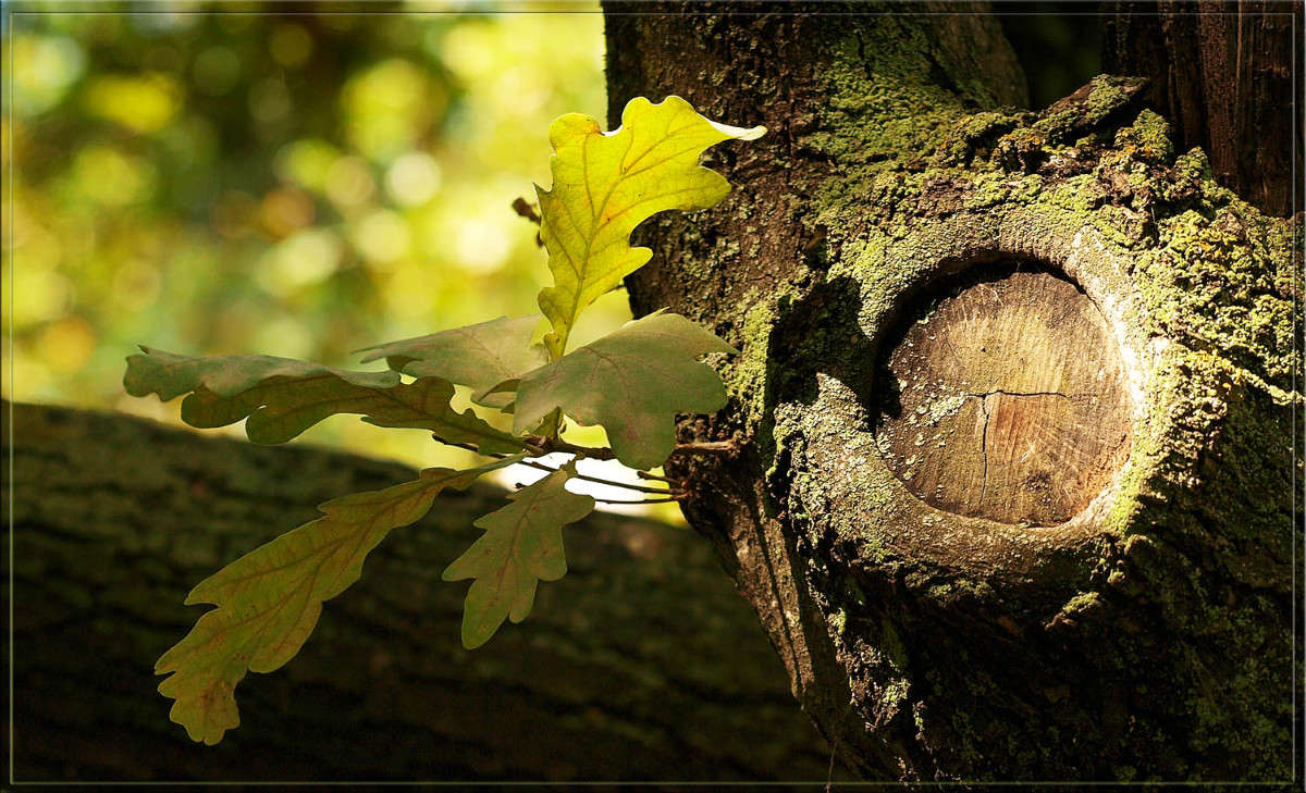 ����� ����� ������  �� PhotoGeek.ru #������ ��� �������