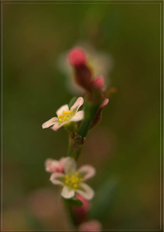 ������ ����� ������  �� PhotoGeek.ru #������ ��� �������