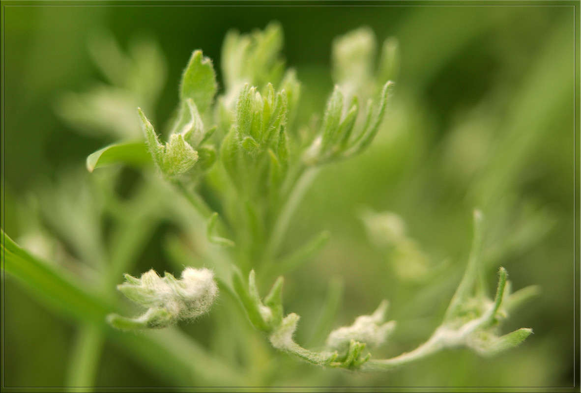 ��� ������� ������������ ����� ������  �� PhotoGeek.ru #������ ��� �������