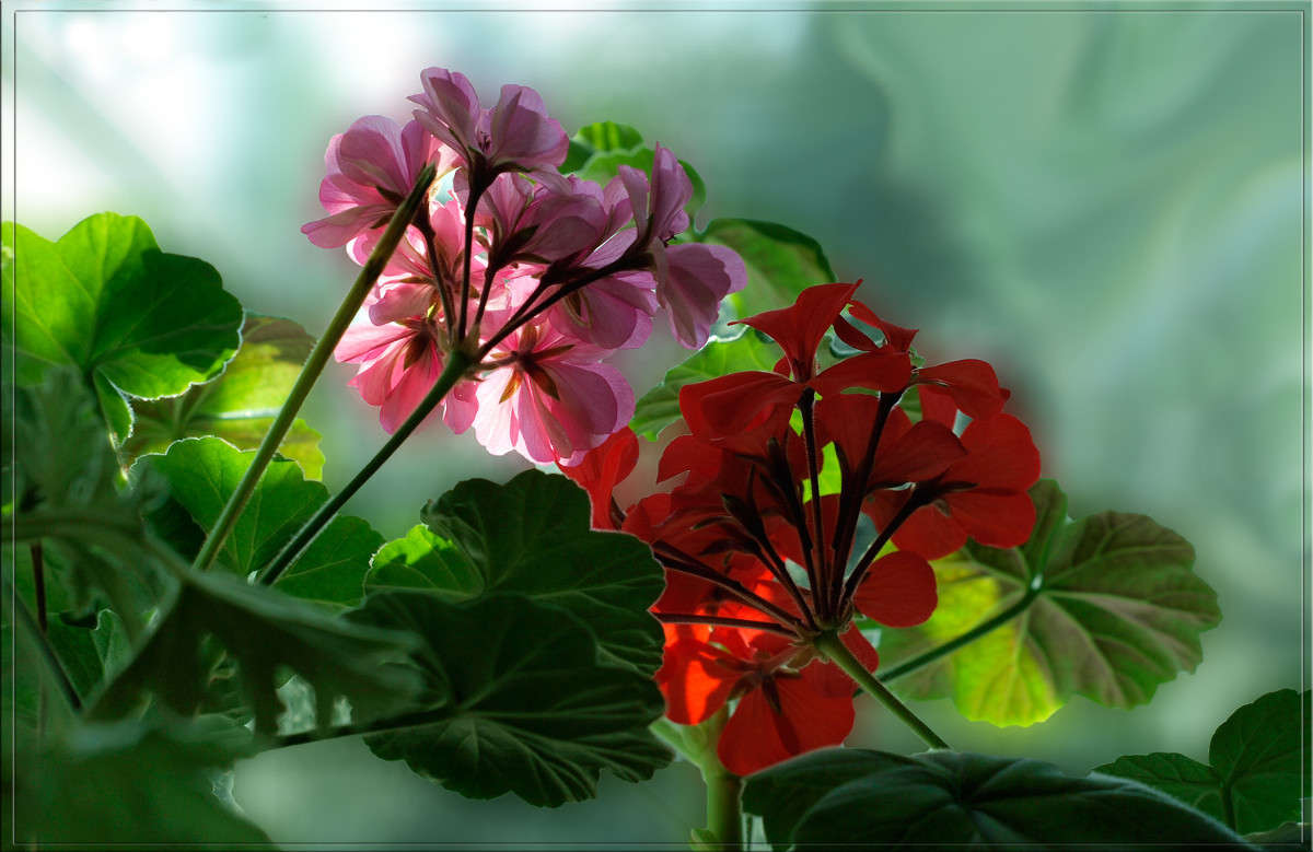 �������� �� ����������� ����� ������  �� PhotoGeek.ru #�������� ����������