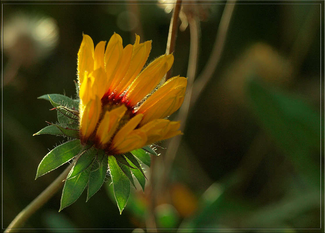 �������� ������ ����� ������  �� PhotoGeek.ru #������ ��� �������