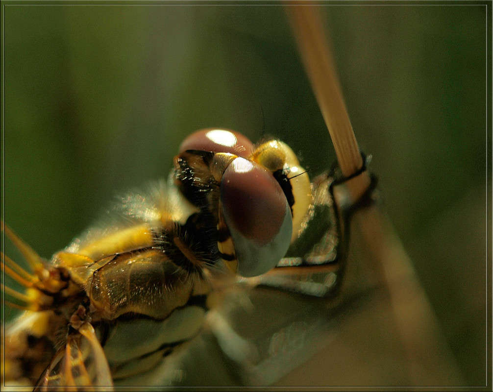 � ���������� ����� ������  �� PhotoGeek.ru #�����