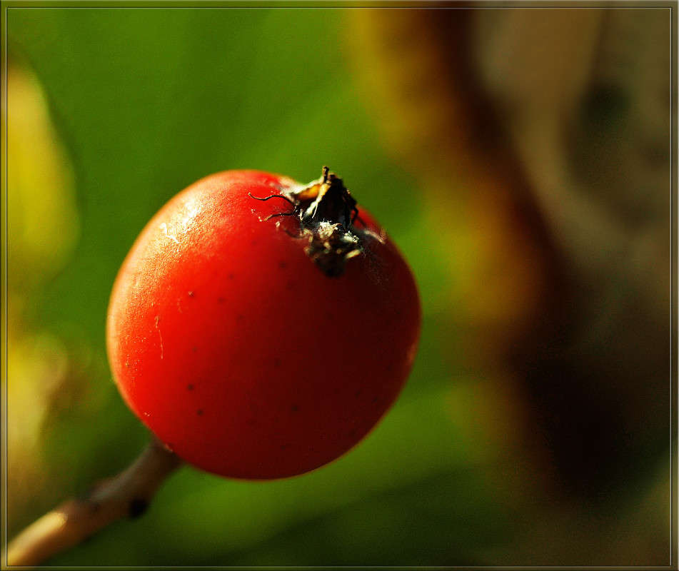 ������ ��������� ����� ������  �� PhotoGeek.ru #�����