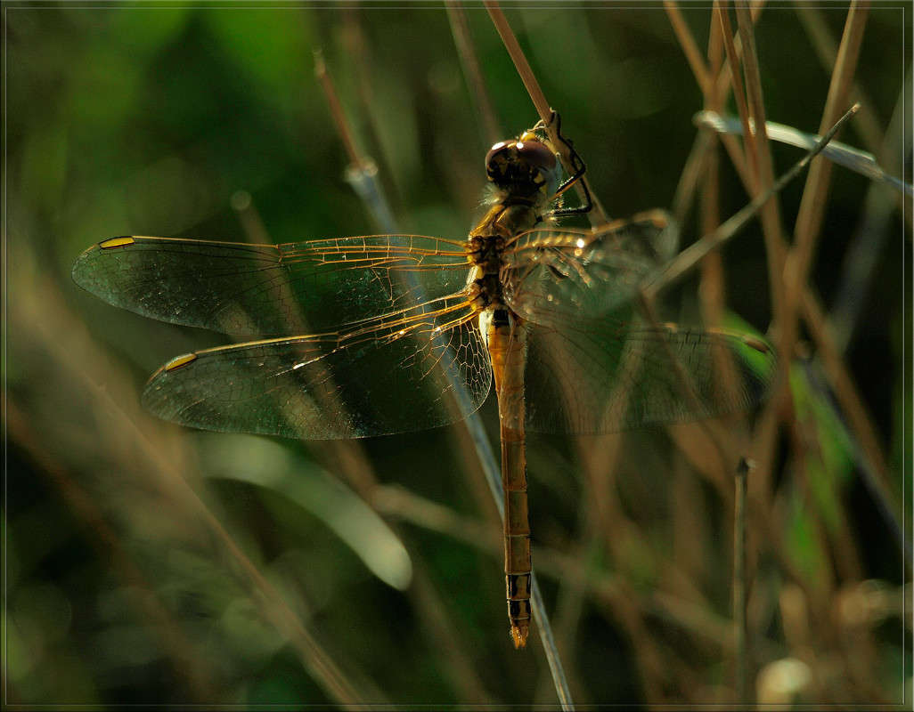 ���������� �������� ����� ������  �� PhotoGeek.ru #�����