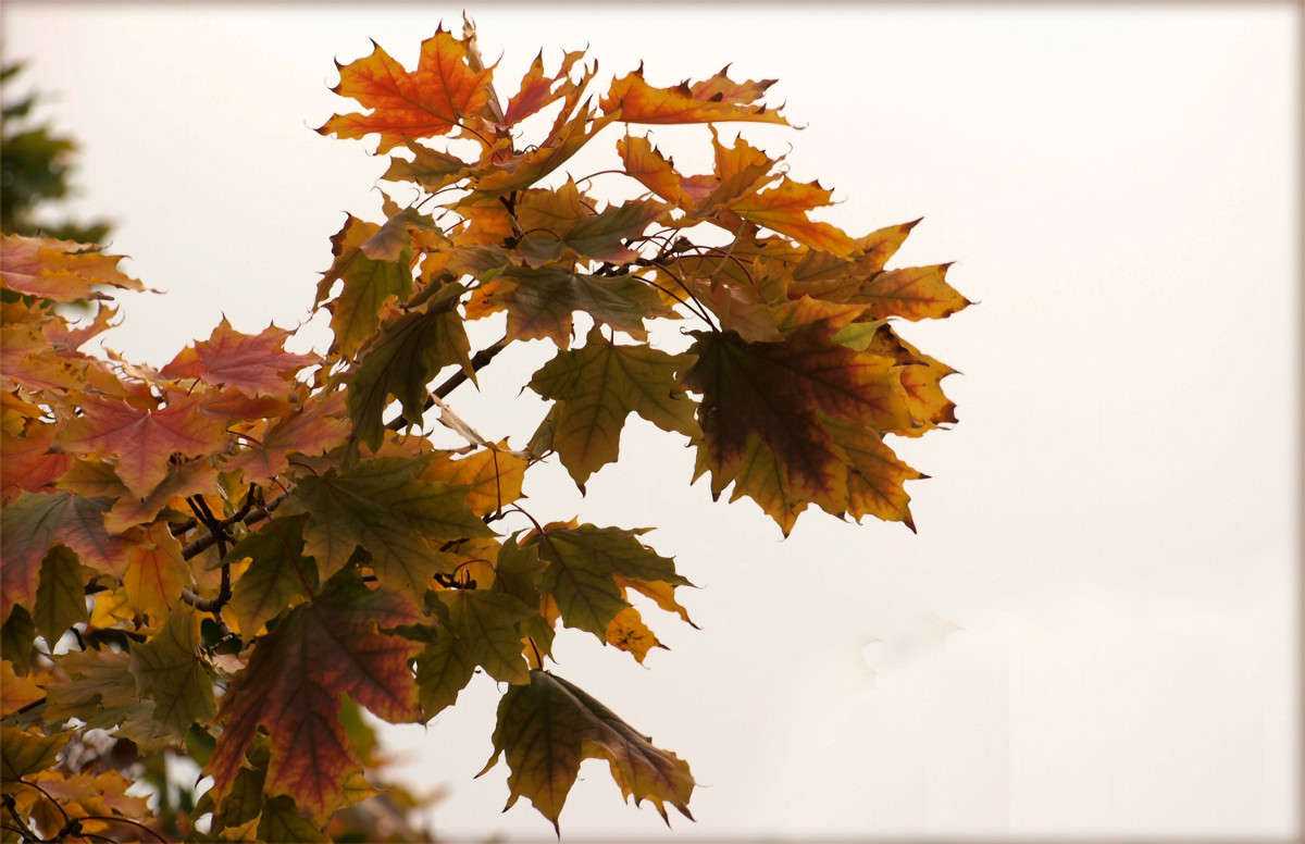 ... ����� ������  �� PhotoGeek.ru #������ ��� �������