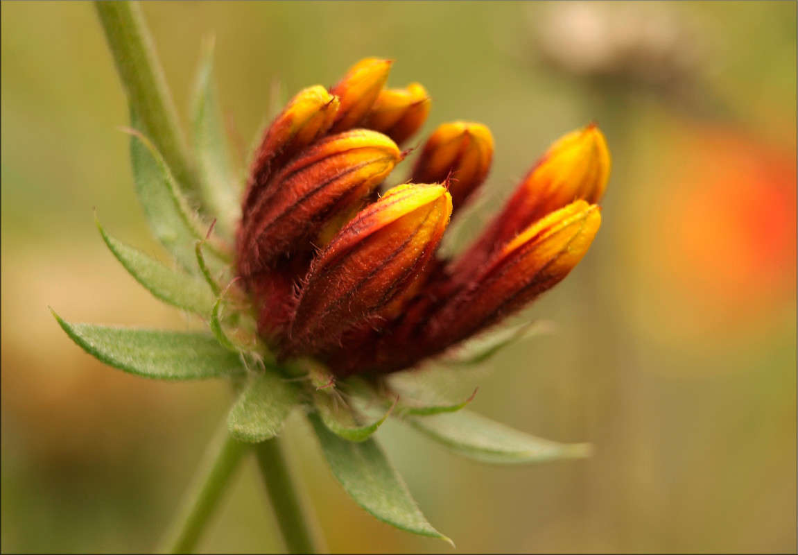 ��������� �� ������� ����� ������  �� PhotoGeek.ru #������ ��� �������